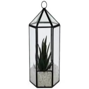 Premium Accent Metal Terrarium Glass Plant Holder Elegant Indoor Garden Display Box Home Decor - Product Image 3