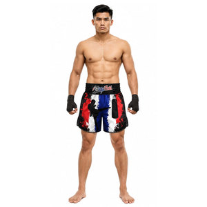 Custom Printed Breathable Casual Men's MMA BJJ Jiu Jitsu <b>Grappling</b> Wrestling Muay Thai Boxing Fighting <b>Shorts</b> - Product Image 3