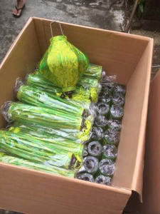 โคมไฟฮอยผ้าไหมแบบดั้งเดิมทำด้วยมือจากเวียดนามสำหรับเทศกาลงานแต่งงานงานปาร์ตี้สวนบ้านขายส่งผู้ผลิต99ทองข้อมูล - Product Image 6