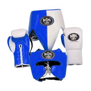 Ensemble d'accessoires d'entraînement de boxe avec protège-tête, protège-glandes et gants pour la pratique - Product Image 2