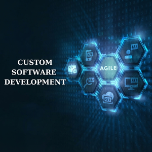 Servicios Expertos en Software Personalizado: Desarrollo de Aplicaciones a Medida, Integración Empresarial y Soluciones Digitales Escalables - Product Image 1