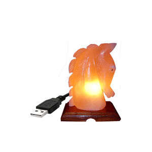 Lampe de sel de l'Himalaya de haute qualité avec base en bois sculptée sur mesure, chargeur USB, artisanat naturel, décoration pour la maison et la chambre - Product Image 6