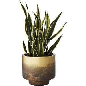 Macetas de Metal Doradas Artificiales para Plantas de Interior, Suministros de Fabricación al por Mayor - Product Image 5