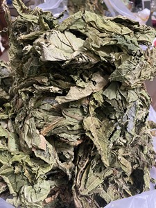 Feuilles de papaye séchées de haute qualité, source propre, séchées avec soin, adaptées pour le thé et la préparation de poudre, rehaussent la saveur - Product Image 4