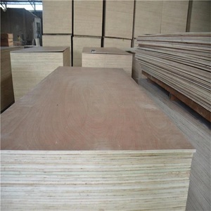 Más Vendido - Madera Contrachapada de Melamina/Abeto/Bintangor/Oukume - Tablero de Madera Contrachapada en VENTA - Precio Económico Directo de Fábrica - Product Image 6