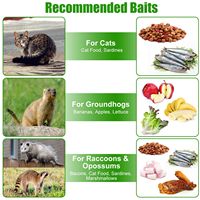 Cage à rongeurs pliable en fil galvanisé pour attraper et libérer des animaux vivants (ratons laveurs, castors, marmottes) - Gants de capture pour chats