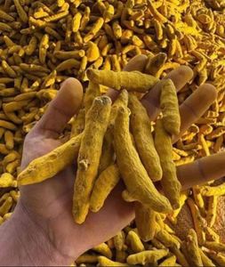 ขมิ้นชันคุณภาพสูง ขมิ้นชันแห้งทั้งหัว ใช้ได้หลากหลาย - Product Image 2