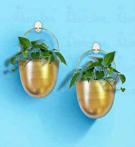 Jardinière murale de luxe dorée, finition laiton, pot en fer, jardin vertical d'intérieur, bassin suspendu décoratif, décoration artistique moderne pour bureau - Product Image 2