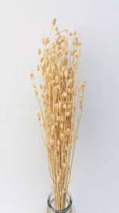 Flores Secas de Albahaca Naturales, Arreglo Floral Seco, Ramo de Flores, Flor Seca de Tailandia - Product Image 4