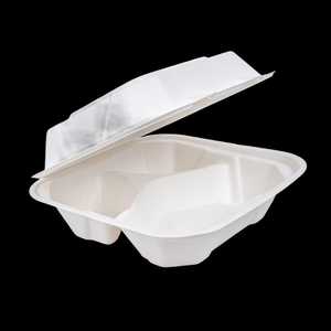 Assiettes jetables compostables en gros pour restaurants, cafés, hôtels, camions de restauration, traiteurs et événements spéciaux - Product Image 2