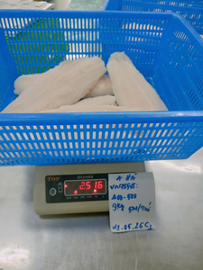 Filete de Pangasius Blanco Congelado de Grado de Exportación, IQF, 10-12 cm, Grado A, 24 Meses de Vida Útil, Vietnam - Product Image 1