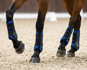 Bottes de brossage pour chevaux HM GLOBAL Equestrian, respirantes, en maille multicolores, antichoc, avec rembourrage en néoprène et 3 sangles Velcro. - Product Image 3