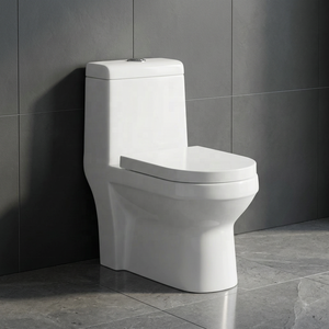 Inodoro de Cerámica de Una Pieza de Primera Calidad, con Doble Descarga de 3/6L, para Proyectos Hoteleros Comerciales y Residenciales de Alta Gama - Product Image 5