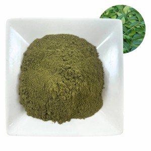 Polvo de hoja de neem 100% puro de calidad premium, apto para consumo humano, extracto herbal de Azadirachta Indica, polvo de neem de la India. - Product Image 1