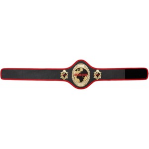 Cinturón de Campeonato Indiscutible de Aleación para Hombre, Cinturón de Lucha Libre de Peso Pesado Mundial, Universal, de Alta Calidad, Profesional, Hecho a Medida - Product Image 3