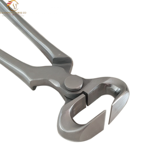 Pinzas Quirúrgicas Veterinarias de Acero Inoxidable de Alta Calidad, Color Sólido, Talla Grande - Product Image 6