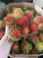 100% Vietnamese KME merk IQF diepvries Rambutan, hele gepelde natuurlijke fruitstukjes, wit vlees, 10kg vacuümverpakking