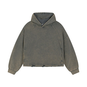 Nouvelle Arrivée – Sweats à Capuche Décontractés pour Hommes, Coupe Droite, en Molleton 500 Grammes, avec Logo Imprimé, Manches Longues, Printemps - Product Image 5
