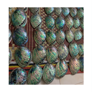 Coquilles d'ormeaux naturelles brutes du Vietnam, matériau artisanal poli écologique pour la décoration intérieure, thème amour, DIY - Product Image 1