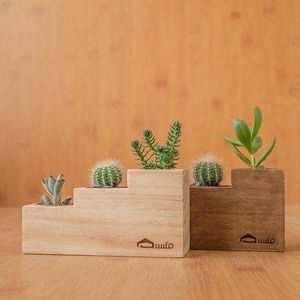 Lot de supports à plantes carrés miniatures en bois, modernes, faits à la main, écologiques, qualité supérieure, pour Ramadan et mariages, prix de gros usine - Product Image 3