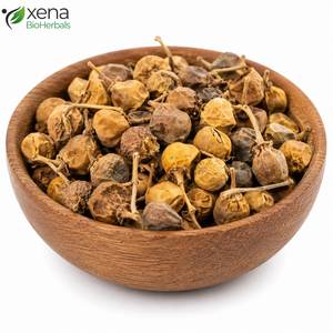 Fournisseur en gros de plantes entières de Solanum Xanthocarpum, matière première botanique naturelle en gros - Product Image 1