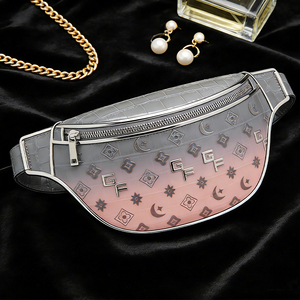 Custom Women's PU Leather Fanny Pack Fashion Portable Anti-Theft Design <b>Mini</b> Wallet with Detachable Long Strap - Product Image 1
