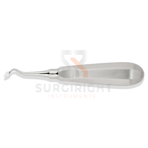 Elevador de punta Bernard para extracción de fragmentos radiculares dentales, instrumento de acero inoxidable con certificación CE Clase I, manual, de Blush Surgical - Product Image 2