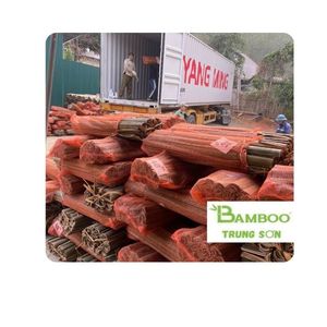Bambou Trung Son Gem Le : Lames de bambou modernes pour la fabrication de cerfs-volants et le tissage, 34 pouces, pour barrière anti-mauvaises herbes et usage en jardin - Product Image 1