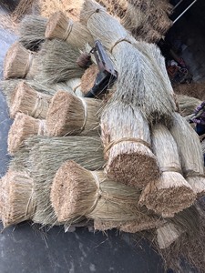 หญ้าทะเลแห้งสีเบจสำหรับสัตว์เลี้ยง วัสดุธรรมชาติ ปลอดภัยสำหรับกระต่าย แฮมสเตอร์ และนก 26 ANGLE - Product Image 3