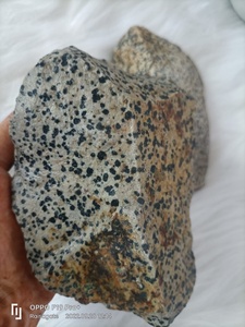 Piedra Natural de Jaspe Dálmata en Bruto, Gema Curativa, Espécimen Mineral para Reiki, Meditación, Decoración del Hogar y Colección - Product Image 4