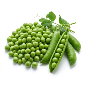 Guisantes Verdes Premium, Guisantes Partidos, Alto Contenido Proteico, Grado Alimenticio, Venta al por Mayor, Suministro a Granel, Exportación, Proveedor, Fabricante, Proveedor de Legumbres Secas - Product Image 3