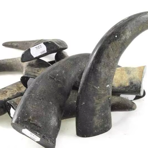 Puntas de Cuerno de Búfalo Pulido Talladas a Mano de Alta Calidad, Directo de Fabricante, Ecológicas, con Recubrimiento Anticorrosión, Artesanía Moderna - Product Image 1