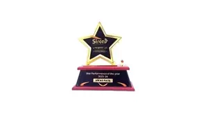 Trofeo de premio en forma de estrella con base de madera, reconocimiento a empleados, premio por logro anual, premio por rendimiento corporativo - Product Image 3