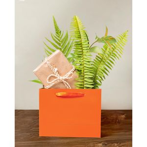 5 sacchetti regalo arancioni brillanti di medie dimensioni con manici a nastro, inclusi 10 fogli di carta velina (10 fogli di carta velina inclusi di dimensioni medio-larghe) - Product Image 1