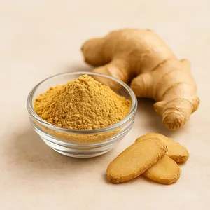 Jengibre Orgánico en Polvo de Alta Calidad, Molido Fino, Raíz de Jengibre Deshidratada, Especia para Cocinar, Té, Salud y Exportación, Venta al Por Mayor OEM a Granel - Product Image 1