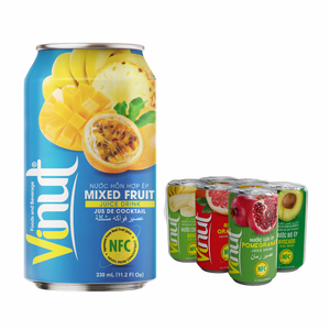 Boisson de jus de fruits 330ml 24 canettes carton sans sucre OEM ODM marque privée échantillon gratuit prix d'usine rafraîchissant - Product Image 1