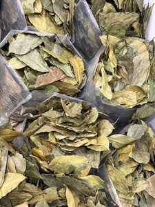 Premium Quality Soursop Leaves <b>Tea</b> Bag Natural Herbal Infusion <b>Tea</b> OEM ODM Custom Packaging Wholesale Supply - Product Image 5
