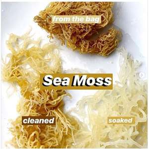 TOP EXPORT SEA <b>MOSS</b> AT AFFORDABLE PRICE - Product Image 3