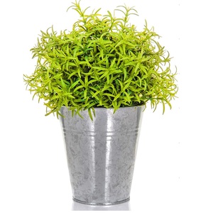 Maceta de Metal Galvanizado de Diseño Clásico con Asas de Anillo para Hogar y Jardín, Maceta Ovalada Decorativa para Flores - Product Image 5