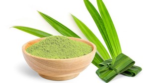Poudre d'extrait de pandan vert 100 % naturel, qualité culinaire, en vrac - Product Image 1