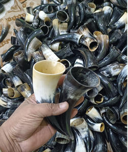 Cuerno para Beber OX Pequeño de la Mejor Calidad 100%, Utensilio Medieval para Beber, Regalo de Herencia, Cuerno Blanco Corto Pulido a Precio de Mayoreo - Product Image 2