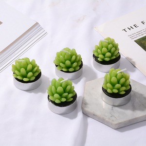 Velas Aromáticas TOOWIN con Diseños de Suculentas Artificiales, Velas Decorativas Románticas para el Hogar - Product Image 3