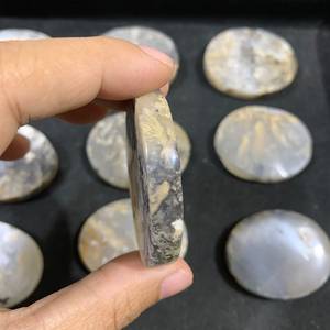 Pierre de palmier en dendrite de tigre naturelle en gros, plate, 35×45×7 mm, cristal de guérison pour la méditation et le Reiki - Product Image 5