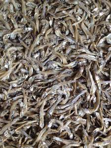 Fournitures 2026 |   Anchois séchés en gros du Delta du Vietnam |   Produit prêt à l'exportation - Product Image 5