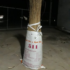 Bâtons de balai en coco du Vietnam de qualité supérieure pour la fabrication de balais à haute durabilité - Product Image 1