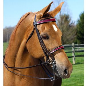 Luxury Leather Horse Bridle Gold Coloured <b>Fittings</b> Adjustable Noseband and Cheek Strap in <b>Black</b> on Both Sides - Product Image 1