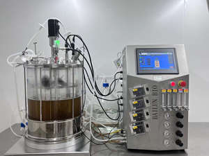 Bioréacteur de culture cellulaire de mammifère Bailun 15L étape d'obtention de cellules à partir de tissus - Product Image 2