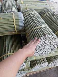 [คะแนนสูงสุด] |   เสาไม้ไผ่เรียบตรง ขนาดเส้นผ่านศูนย์กลาง 12 มม. 14 มม. ความยาว 150 ซม. 180 ซม. สำหรับงานก่อสร้างจากเวียดนาม - Product Image 6