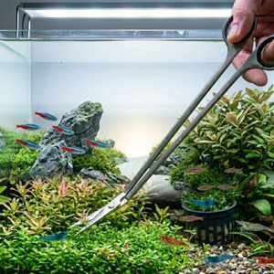 Ciseaux d'aquarium en acier inoxydable de 10 pouces, outil de coupe long et courbé, directement de l'usine - Product Image 1