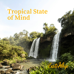 Sifón para Crema ExoticWhip, Herramienta de Cocina de Alta Calidad Garantizada, para Compradores Globales al por Mayor - Product Image 3